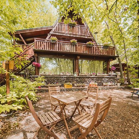 Matilde'S Chalet Etna Nature House Nicolosi Ngoại thất bức ảnh