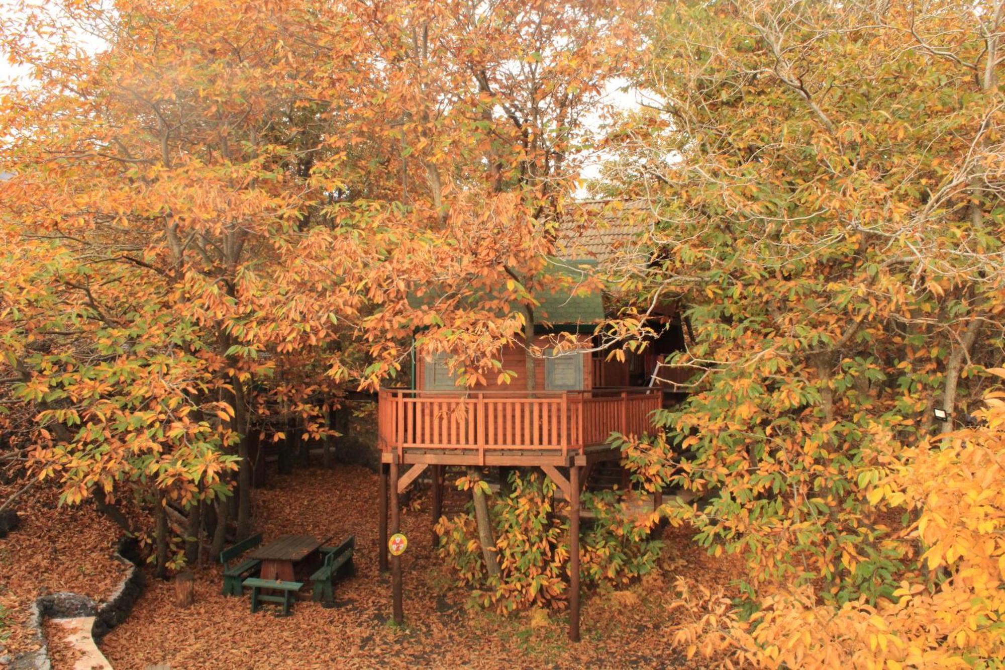 Matilde'S Chalet Etna Nature House Nicolosi Ngoại thất bức ảnh