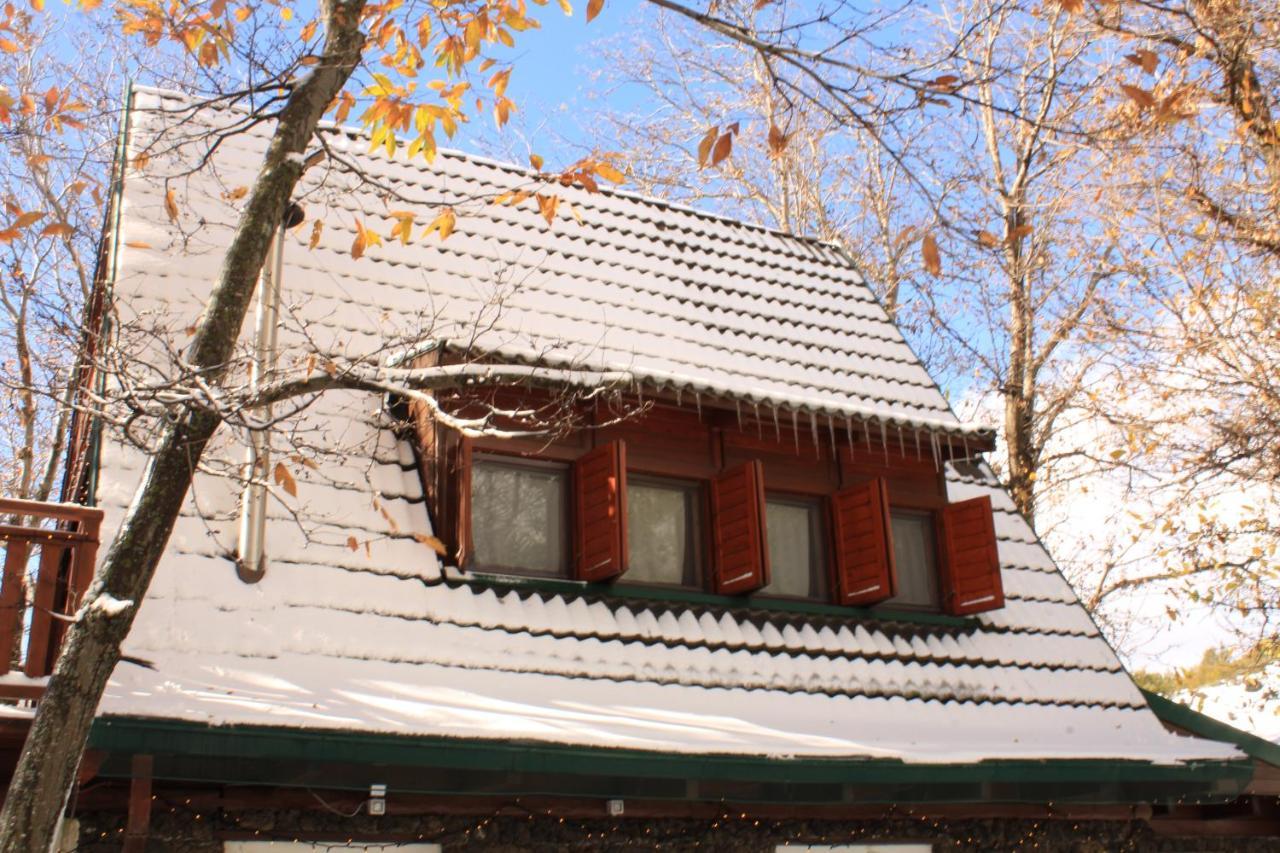 Matilde'S Chalet Etna Nature House Nicolosi Ngoại thất bức ảnh