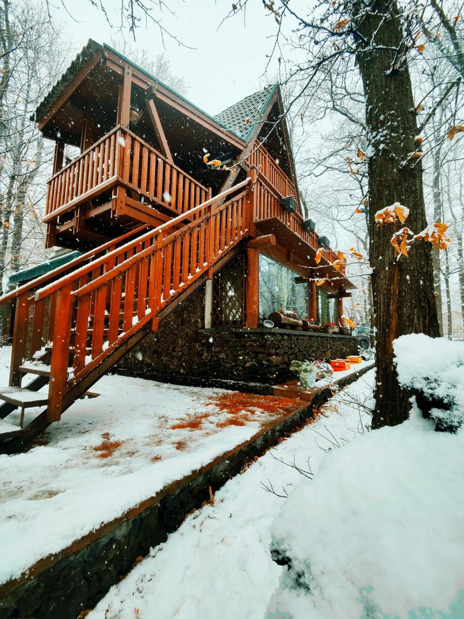 Matilde'S Chalet Etna Nature House Nicolosi Ngoại thất bức ảnh